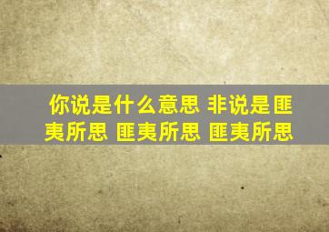 你说是什么意思 非说是匪夷所思 匪夷所思 匪夷所思